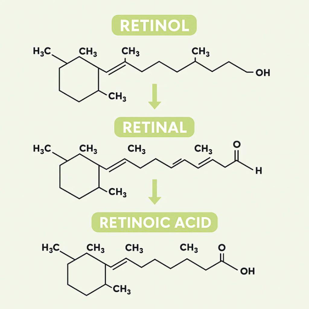 Eyverra™ L’alternative nouvelle génération au rétinol